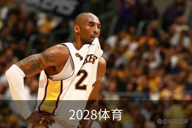 2028体育公司介绍图